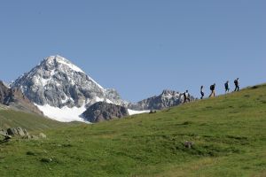 Immagine Alpi & Golf