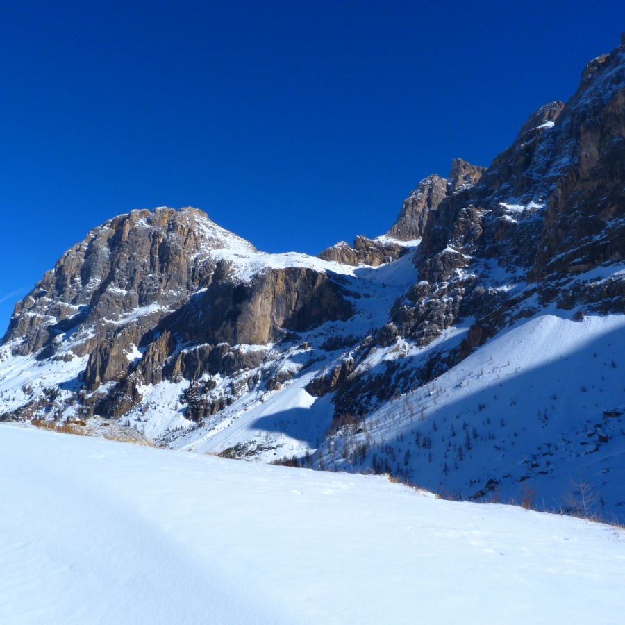 Prenota Prima Inverno In Montagna Hotel Colbricon